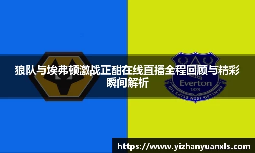 狼队与埃弗顿激战正酣在线直播全程回顾与精彩瞬间解析
